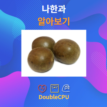 나한과 알아보기