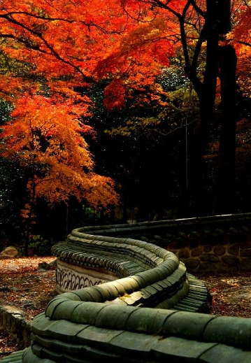 2025 두륜산 단풍 절정 시기 공개! 가을 인기 등산코스 best 3