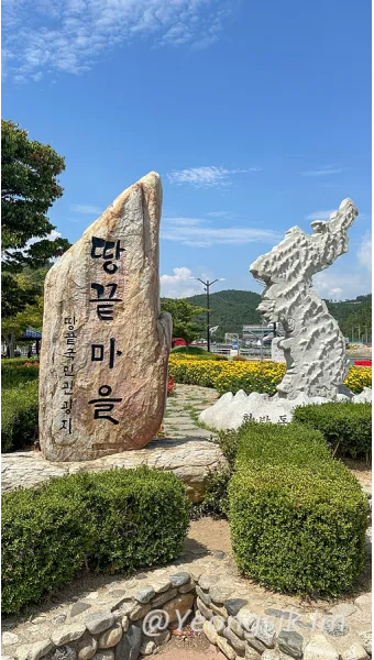 해남 맛집 베스트10 현지인 숨겨진 맛집_6