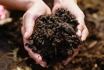 비료 주는 시기 기비 추비 요소 인산 가리 엽면시비_21