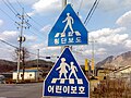횡단보도, 어린이보호