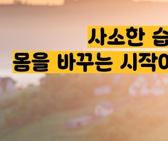 식이섬유가 많은 음식