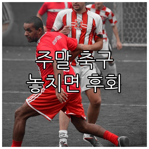 놓치면 후회! 이번 주말 꼭 봐야 할