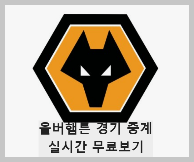 울버햄튼 경기