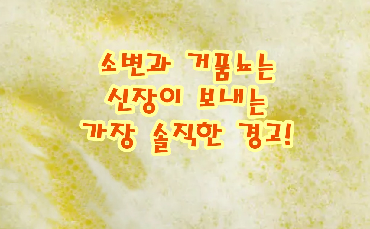 소변과 거품뇨는 신장이 보내는 가장 솔직한 경고!