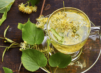 우엉차 효능 10가지 및 부작용