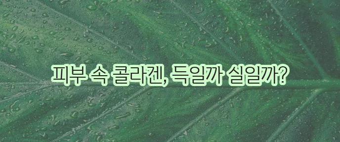 저분자 콜라겐 효능과 부작용 꼼꼼하게 알아봅시다!