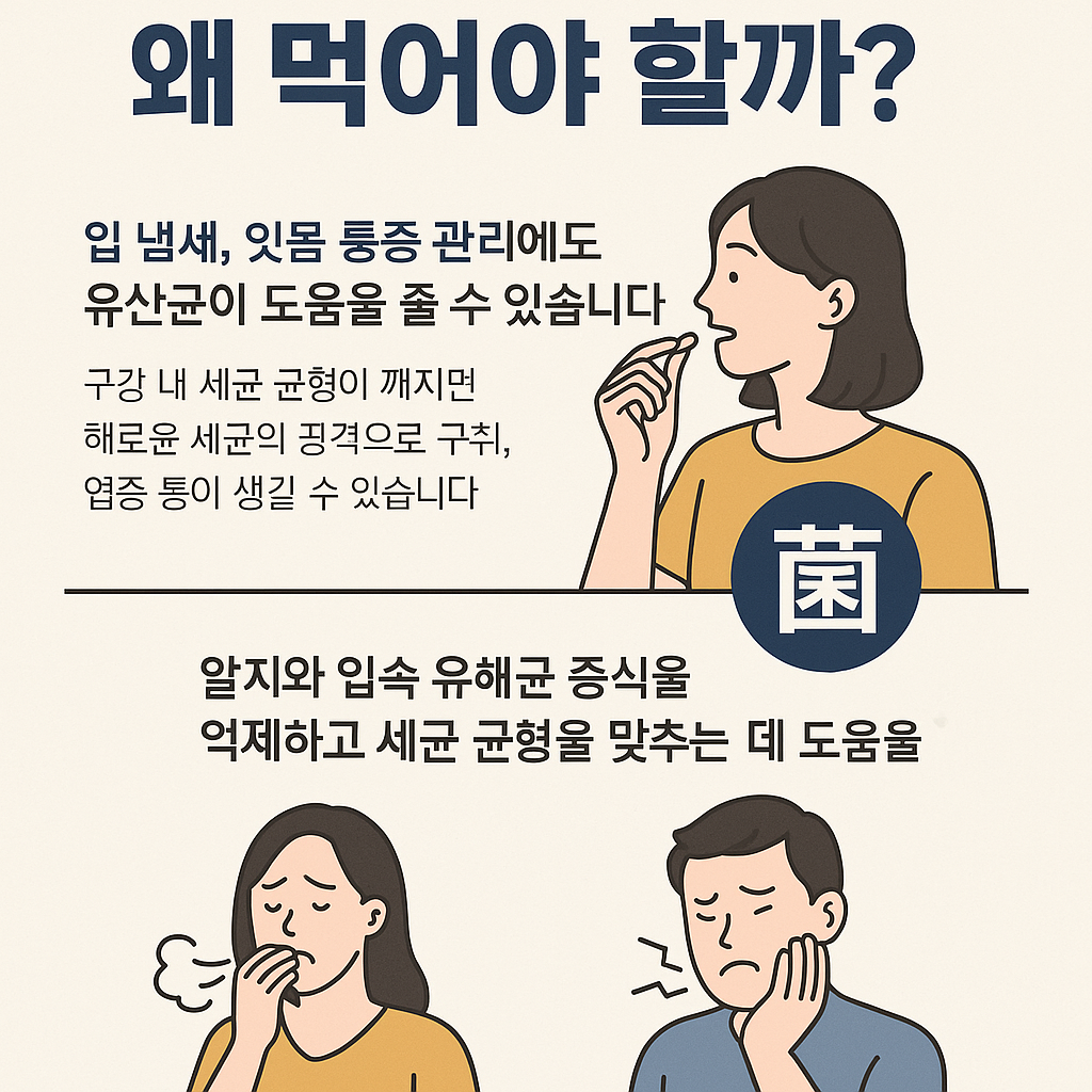구강유산균