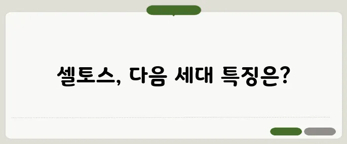 2025셀토스 가격 성능 디자인 총정리!