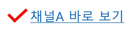 채널A 바로 보기 이미지