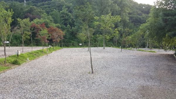 율곡캠핑장_사이트