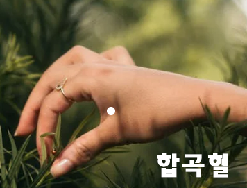 두통 손지압 위치 합곡혈