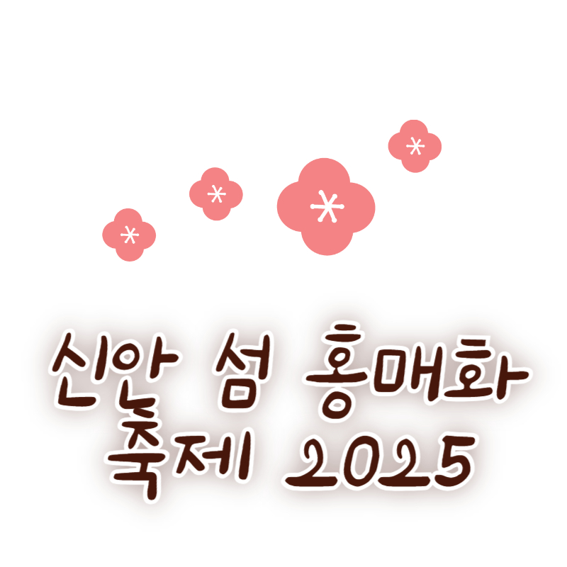 신안 섬 홍매화축제 2025