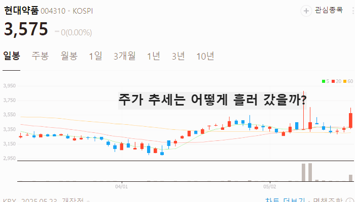 탈모 관련주 대장주 테마주 수혜주 TOP5