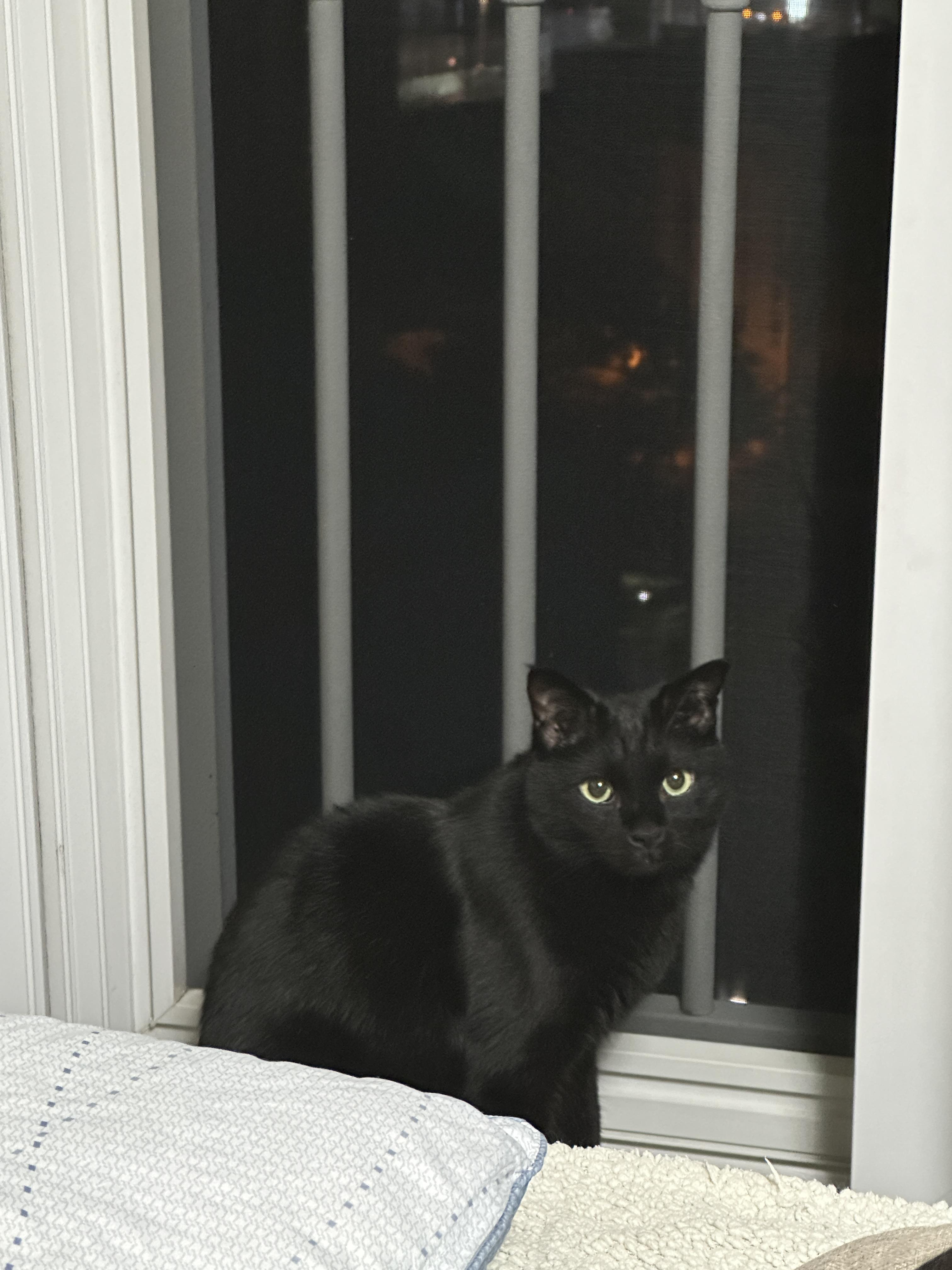 까만_코트에_라임색_눈동자_건이