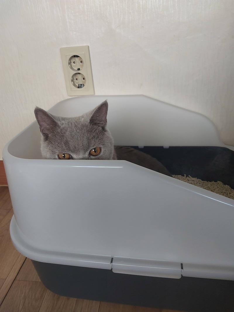 표면 흠집이 생기기 쉬운 플라스틱보다는 위생적인 스테인리스 재질이 냄새 배임을 방지하는 데 훨씬 효과적입니다