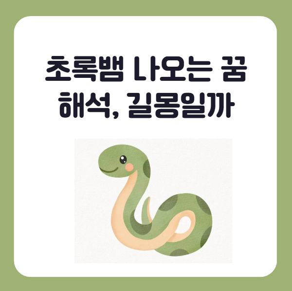 집안에 초록뱀 나오는 꿈 초록뱀꿈 연두색뱀꿈 해몽 태몽풀이