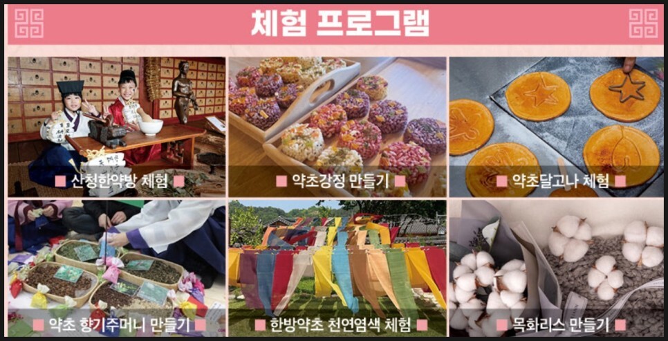 체험 프로그램