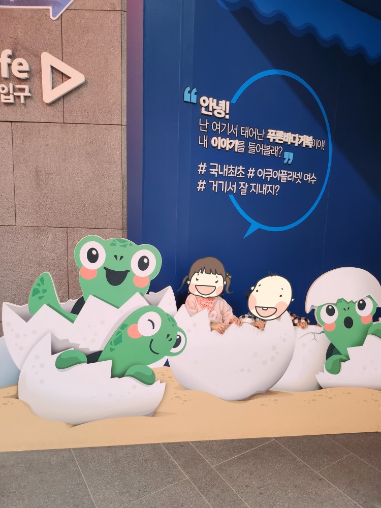 거북이 그림과 아이들