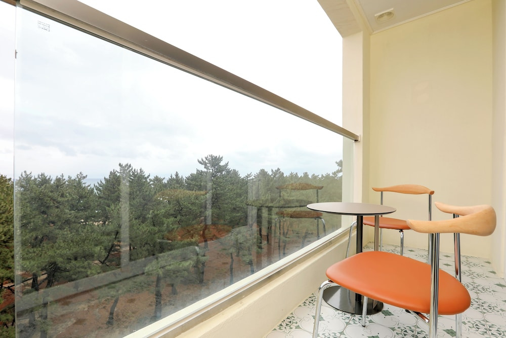 강릉 하운드 더 블루 호텔｜오션뷰&middot;넷플릭스&middot;카페까지&amp;#44; 할인 혜택으로 가성비 숙소 예약하기!