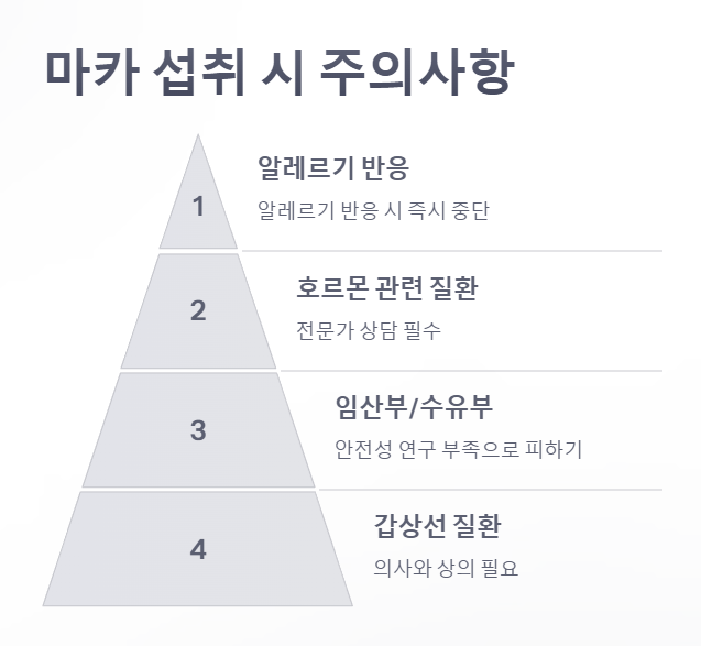 마카 섭취 시 주의사항