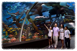 S.E.A 아쿠아리움