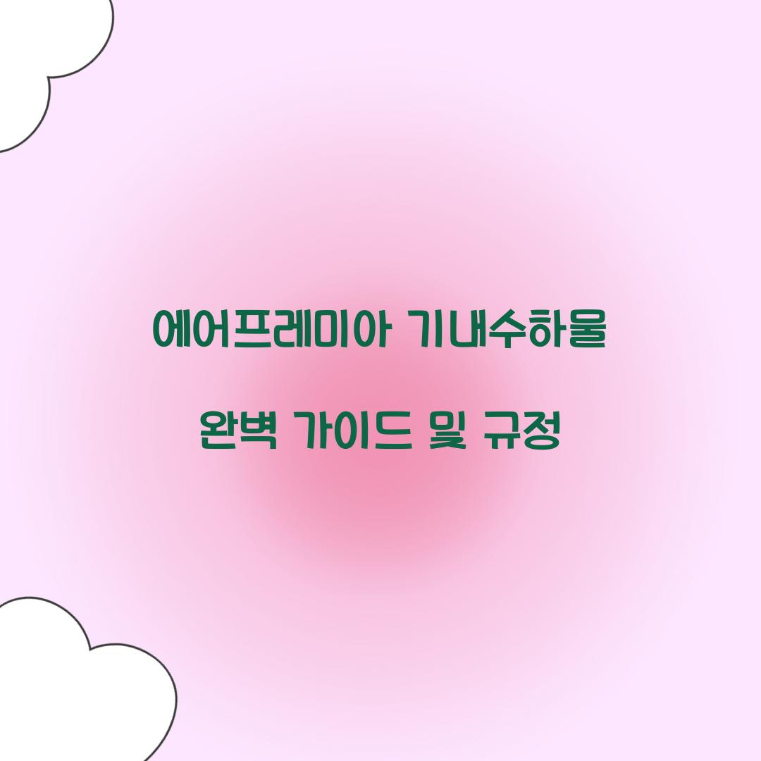 에어프레미아 기내수하물