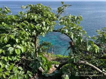 제주도 서귀포 남원 큰엉해안경승지 한반도 지형 포토존과 여행 꿀팁으로 정리_13