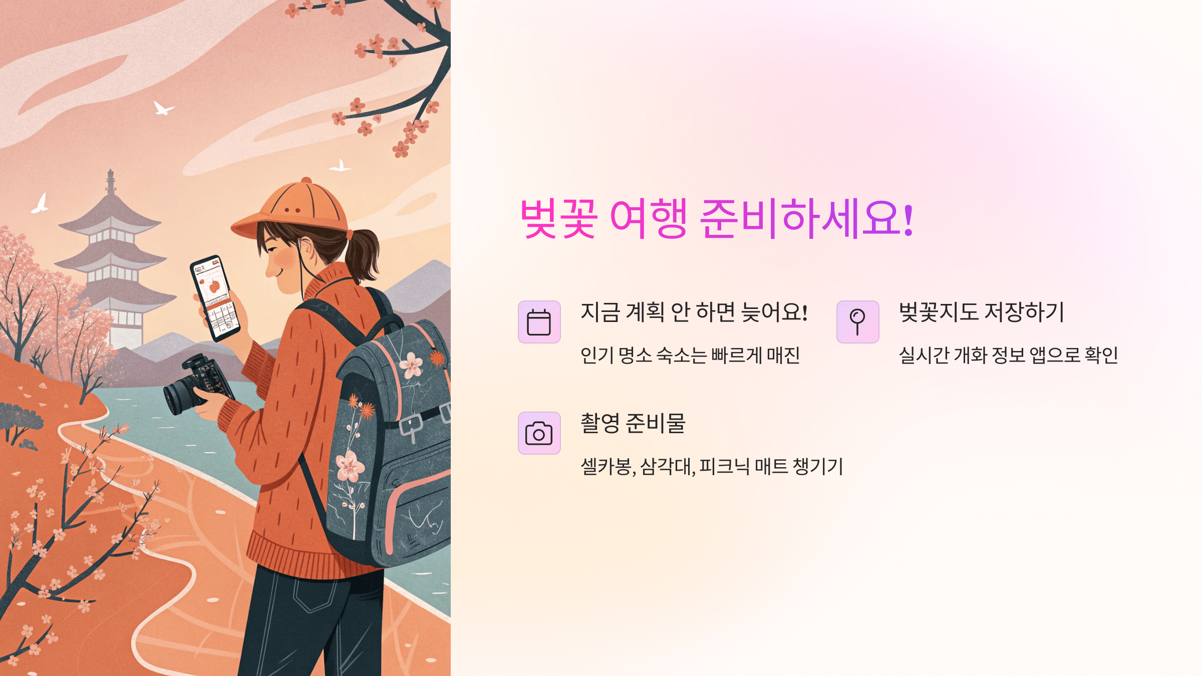 2025 벚꽃 만개 시기