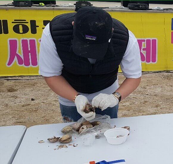 홍성 남당항 새조개 축제