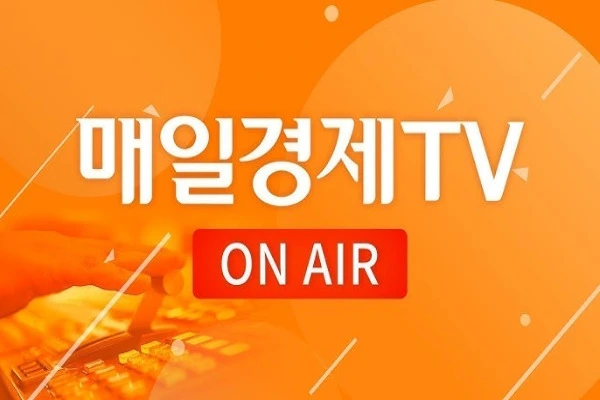 실시간 뉴스 속보 사이트 보기