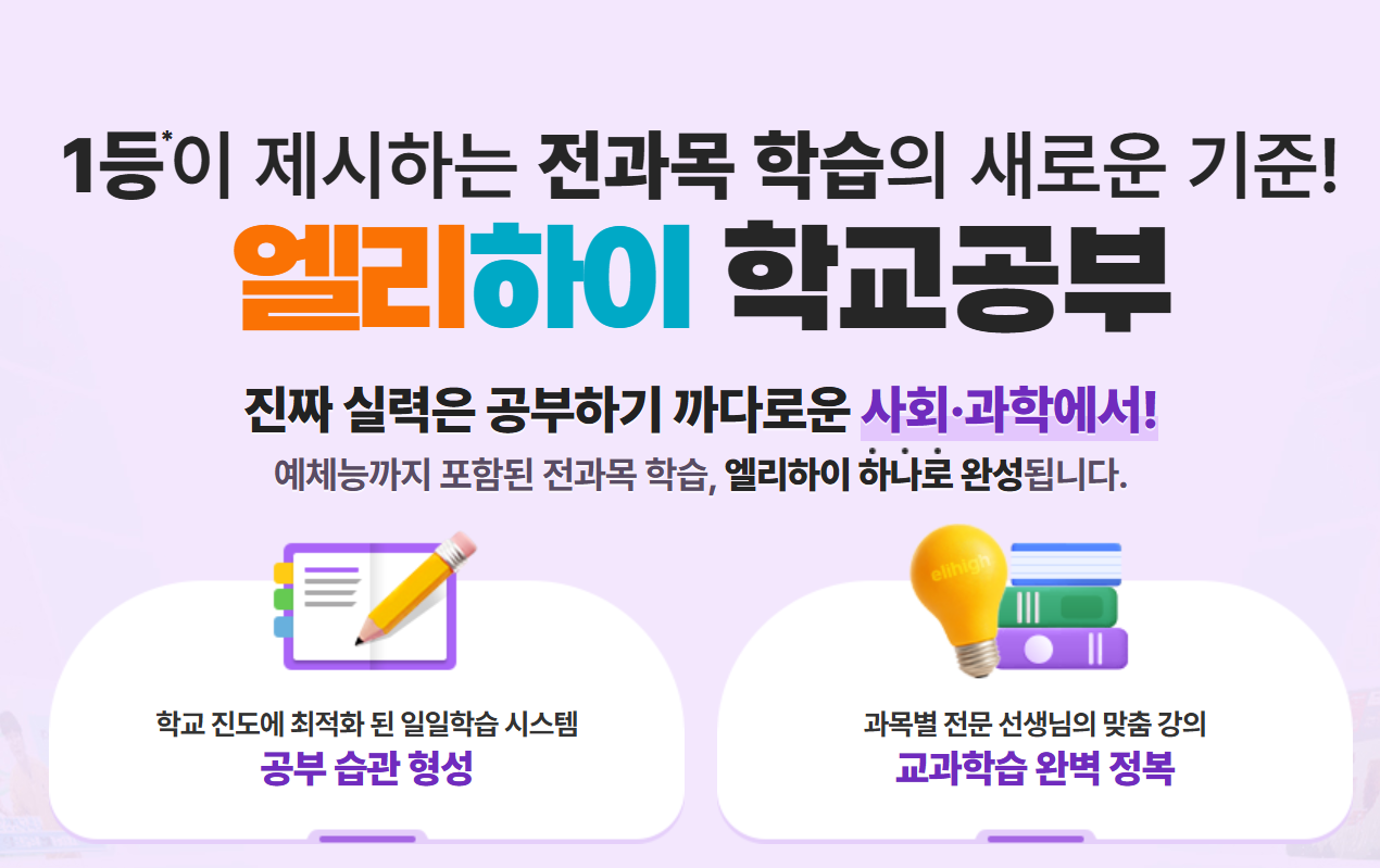 엘리하이, 엠베스트 학습시스템