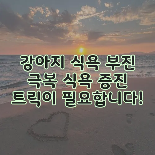 강아지 식욕 부진 극복 식욕 증진 트릭이 필요합니다!