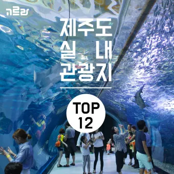 제주도 비올때 가볼만한곳 10곳 추천 실내 관광지로 모음_3