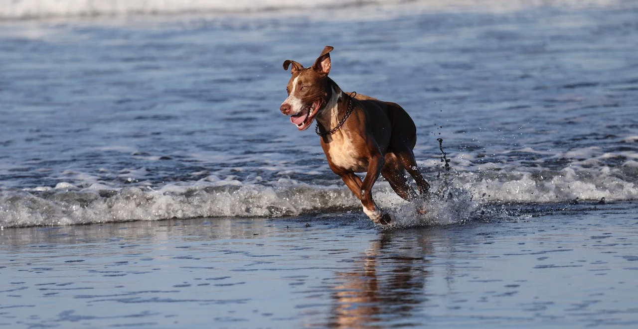 주말 8시 울고 웃다&mdash;화려한 날들 인물&middot;줄거리 가이드