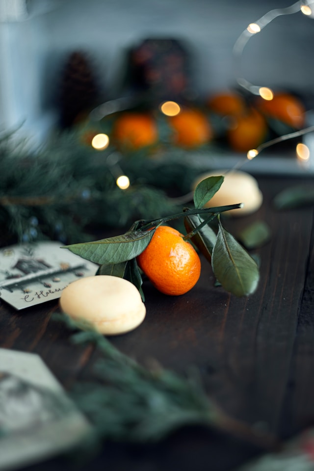 타이벡 감귤 일반 귤 맛 차이 농법 비밀