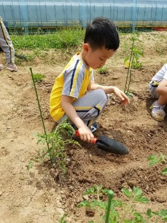 텃밭 가꾸기 모종 선택 파종 시기 물주기 비료 초보 가이드_21