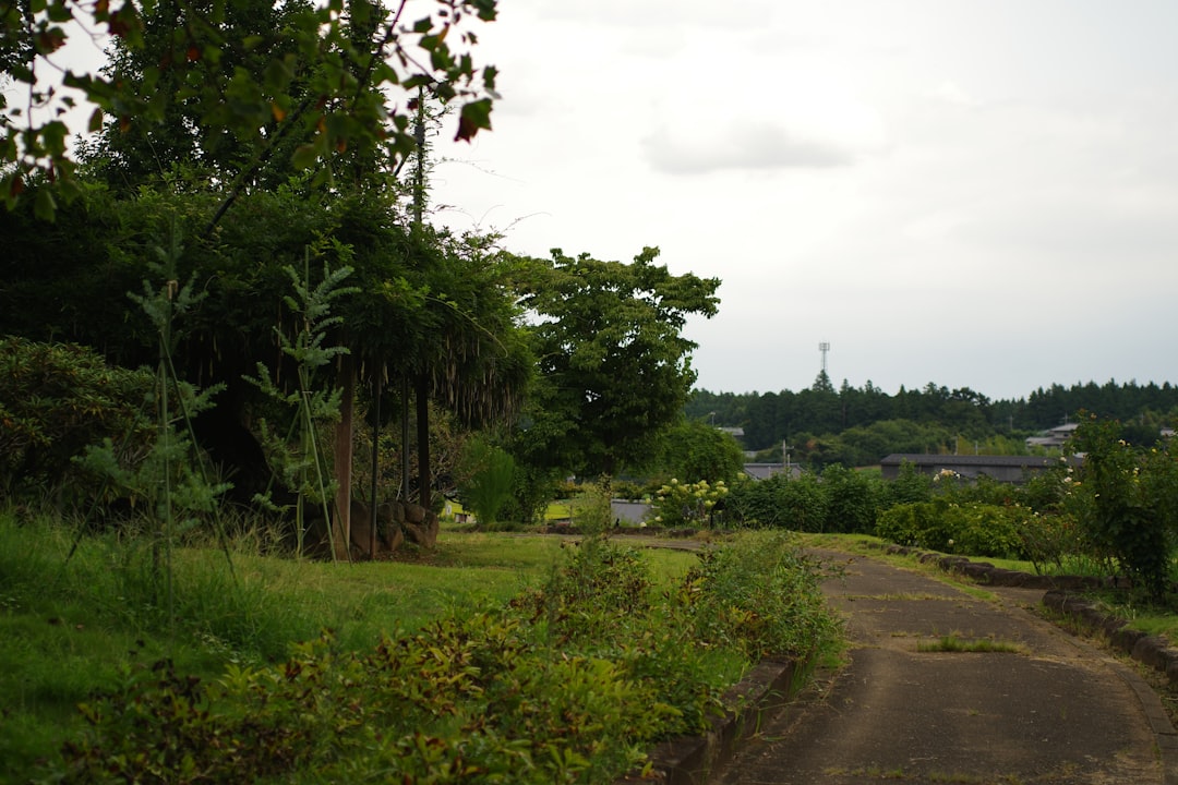 Leasehold