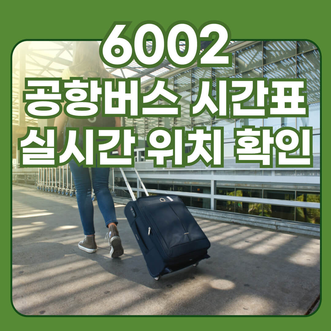 6002 공항버스 시간표, 실시간 위치, 요금, 소요시간, 타는 곳