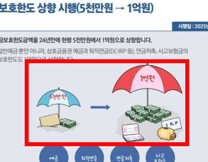 예금자 보호법 1억 시행시기 알아보기