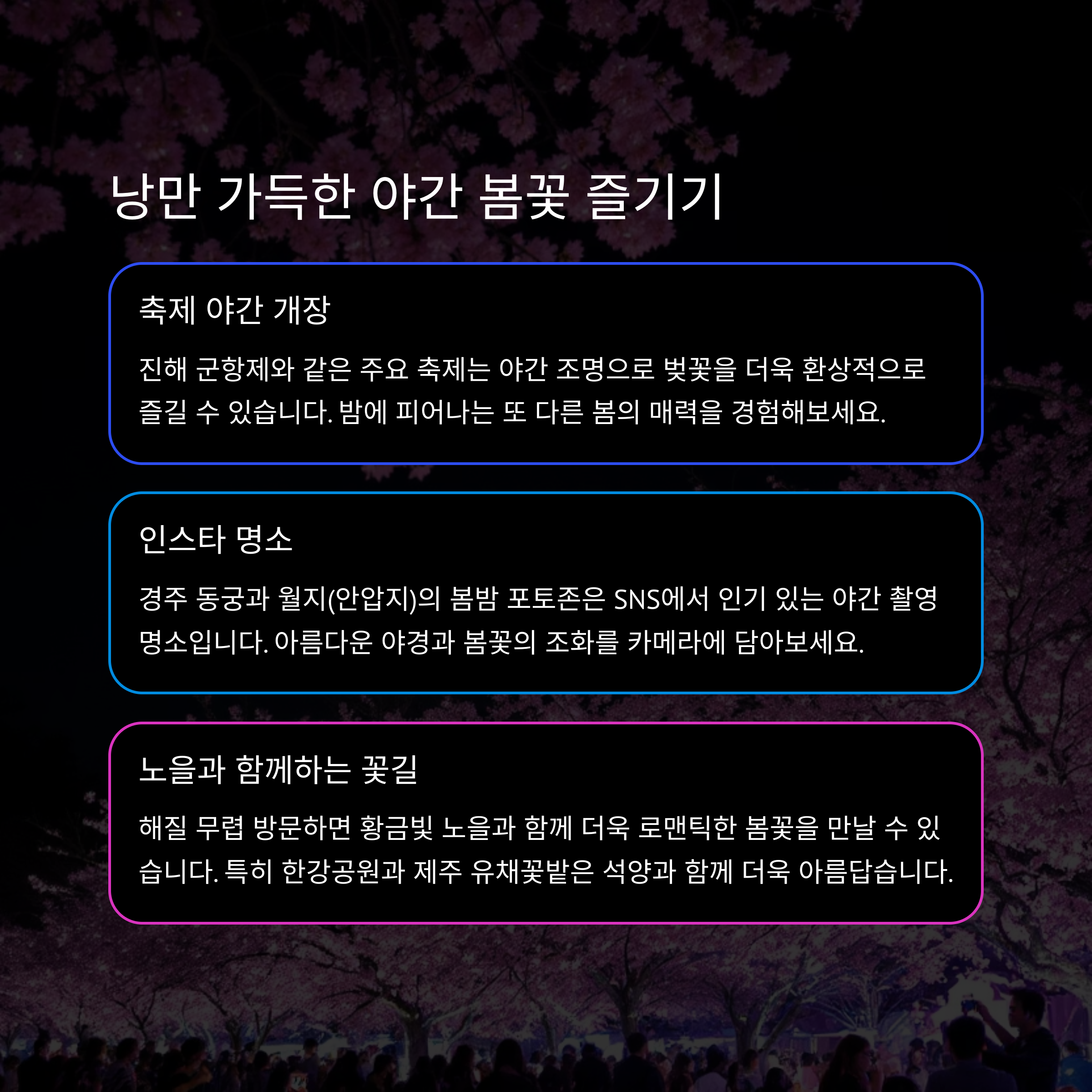 2025년 봄꽃 여행 시 알아두면 좋은 꿀팁 모음