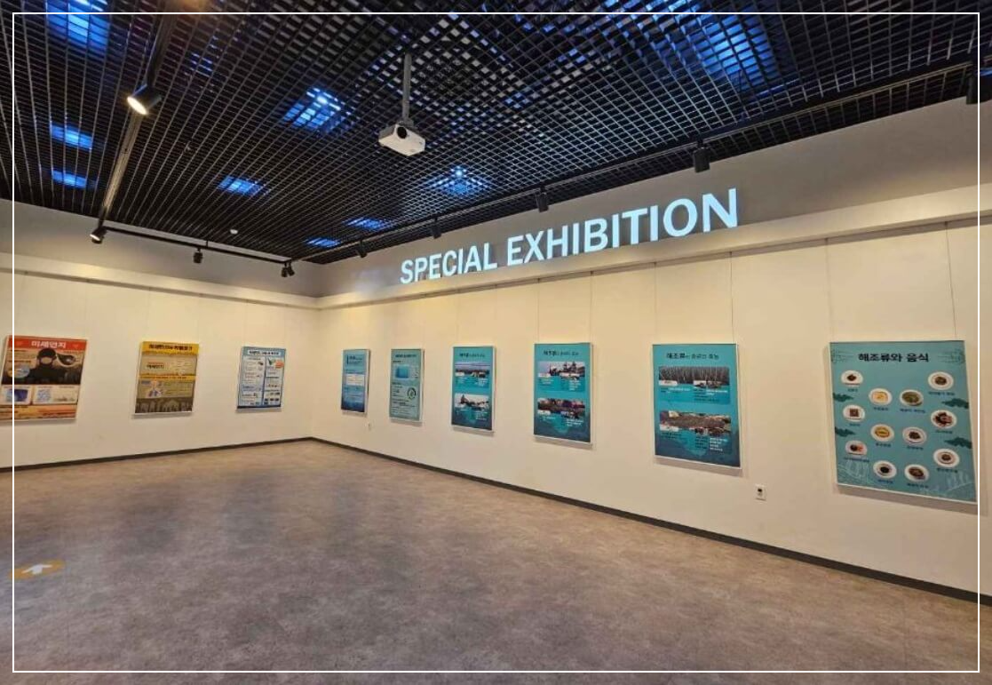 완도 가볼만한곳 베스트10 완도 해양생태전시관