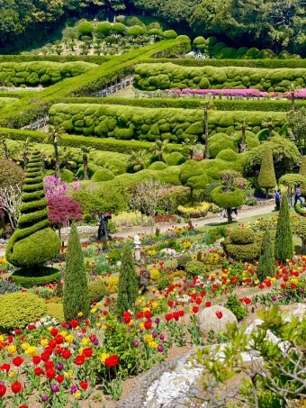 당일치기로-다녀올만한-거제도-외도-꽃길-정원