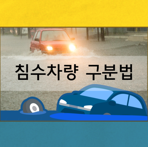 침수차량 구분법