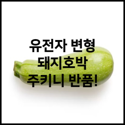 주키니호박