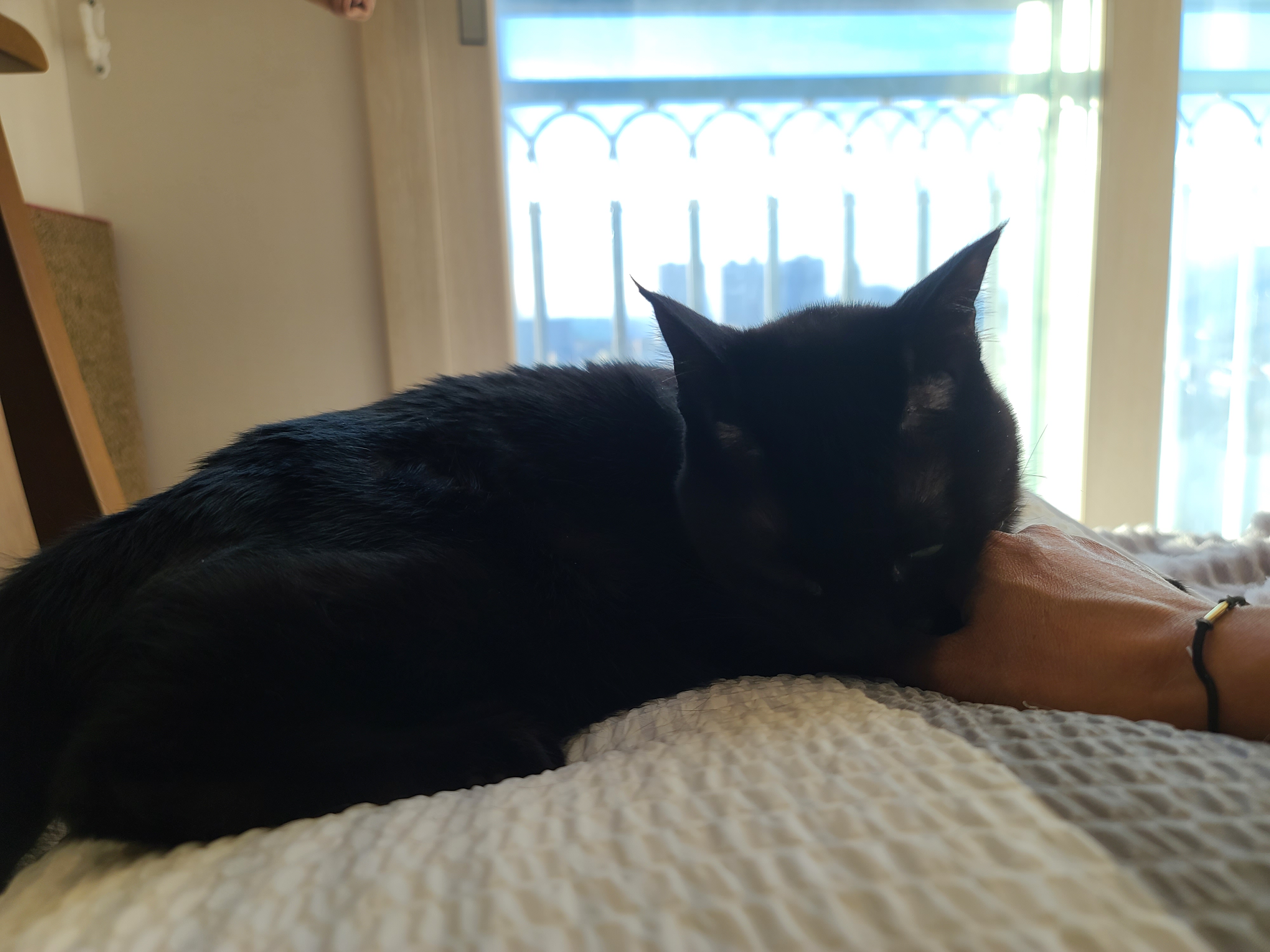 엄마랑 손잡고 잘래...?