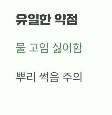 튼튼한 성장의 비결, 흙