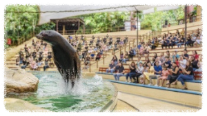 싱가포르 동물원