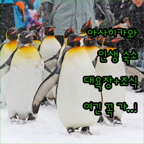 아사히카와 숙소 추천 4곳 위치부터 ..