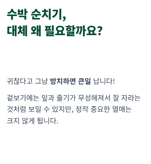 수박 순치기 방법